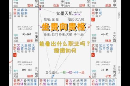 紫薇斗数嫁贵夫