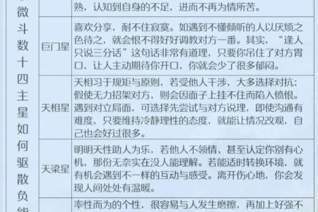 文教法律紫薇斗数