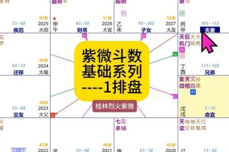 紫薇斗数破格
