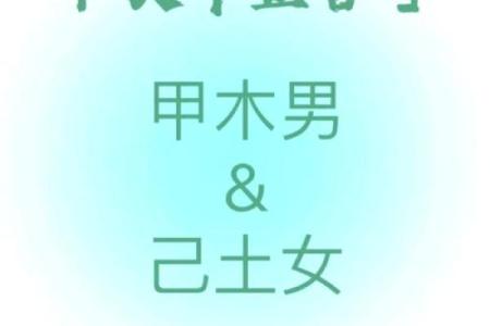 甲木己土夫妻相合的八字