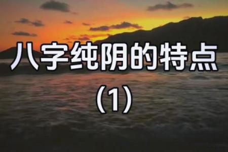 八字纯阴为什么很有厉害 有什么特征
