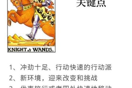 塔罗牌爱情测试中牌位的介绍!