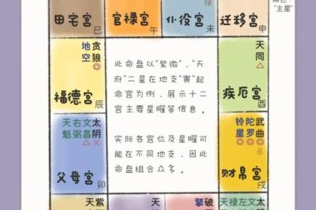 紫薇斗数夫妻天才