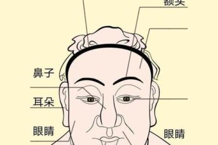 算命桃花女是什么意思呀
