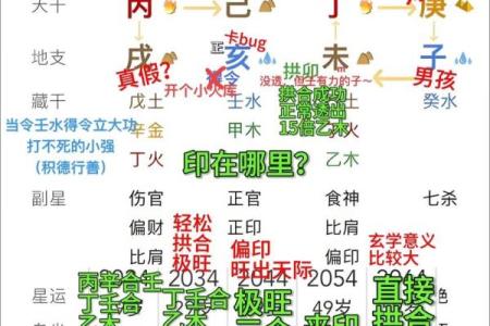 倒背如流：紫微斗数+八字（基础知识点）