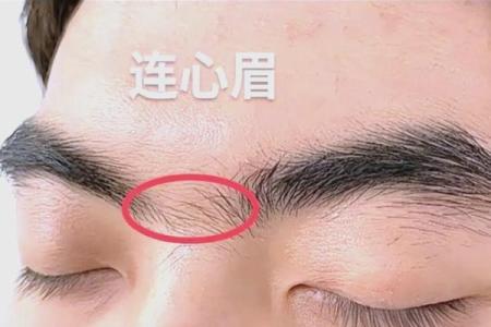连心眉面相算命图解