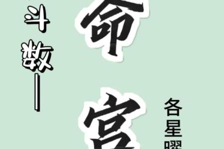 紫薇斗数性格犟