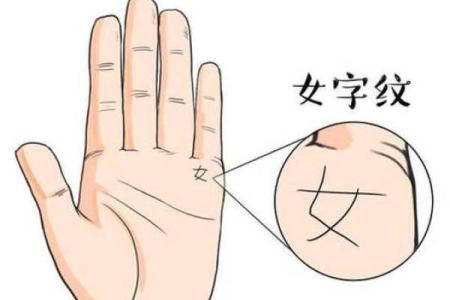 女八字纹