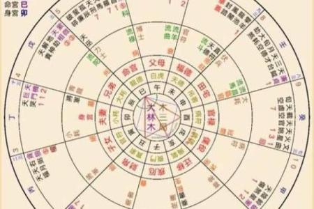 紫微排盘官禄宫自化忌 官禄宫自化忌命运影响