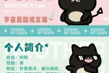 阿财紫薇斗数