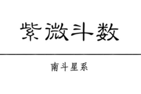 紫薇斗数天府男