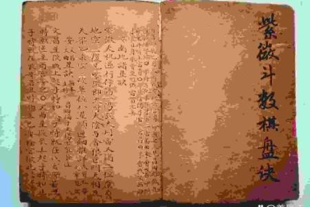 紫薇斗数解盘許