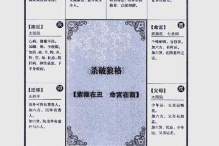 紫薇斗数排盘群