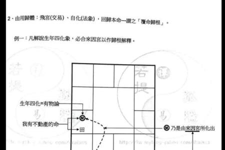 紫微斗数之河洛四化分析论断的基本方法：纵横分析论断法