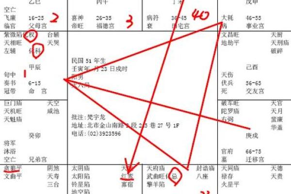 倪海厦紫薇斗数案例10
