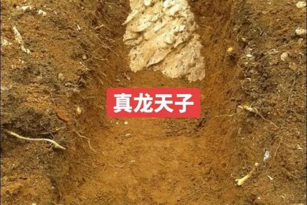 发大财的风水宝地