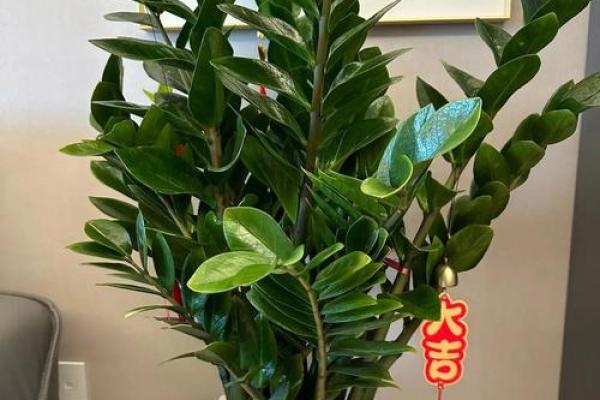 假花摆放在家里影响风水有哪些方面呢