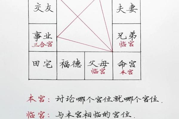 自学紫薇斗数难吗