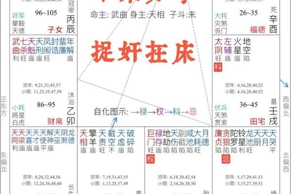自学紫薇斗数难吗