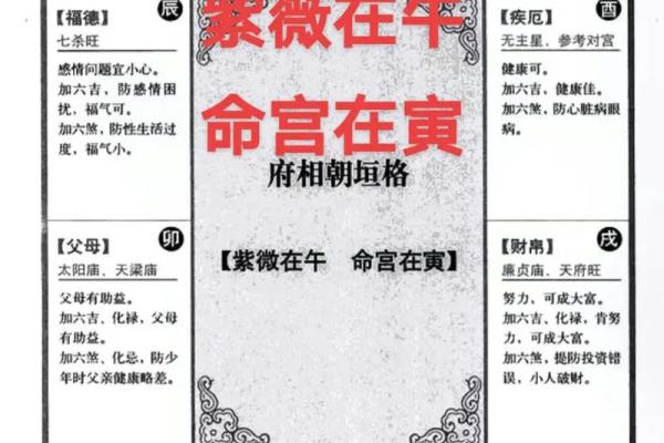 紫薇斗数命宫吉