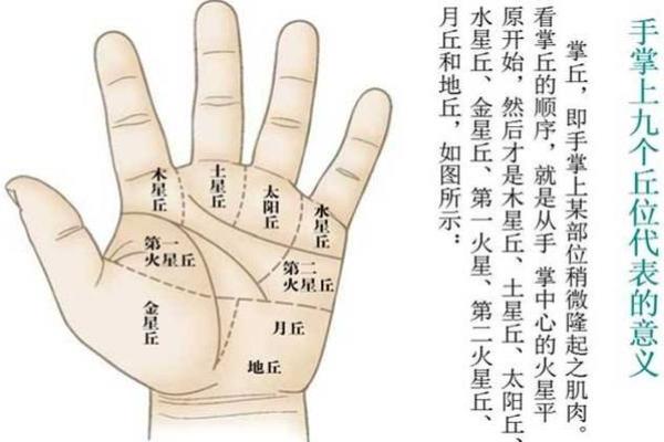 凯帝阿手相算命图解大全07