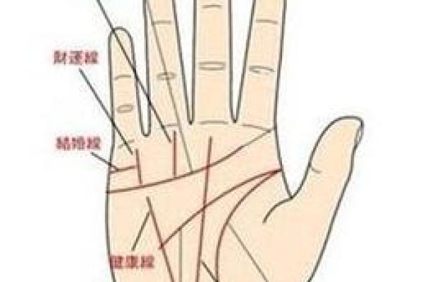 凯帝阿手相算命图解大全07