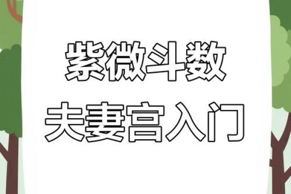紫薇斗数爱情宫