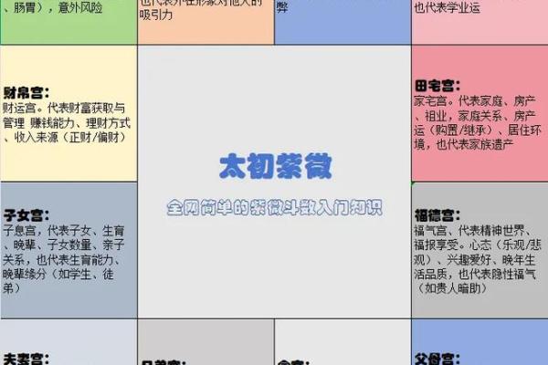 解说紫微斗数 深入解读紫微斗数？