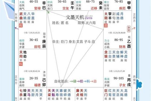 紫薇斗数流年看外出