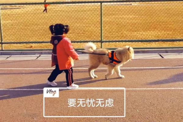 算命要我晒太阳