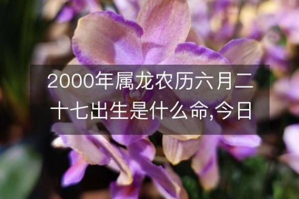 2000年6月27日生辰八字