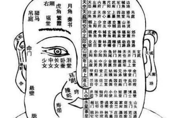 面相算命，让你分钟看透一个人
