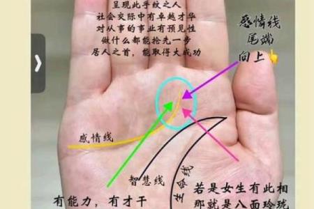 算命的说手相句子