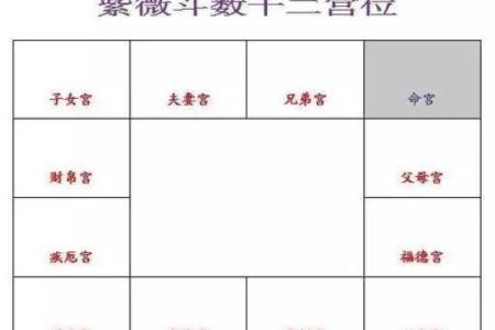 紫微斗数父母宫疾病恶化 紫微命盘父母宫？