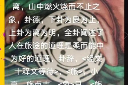 紫薇斗数和梅花易数哪个准