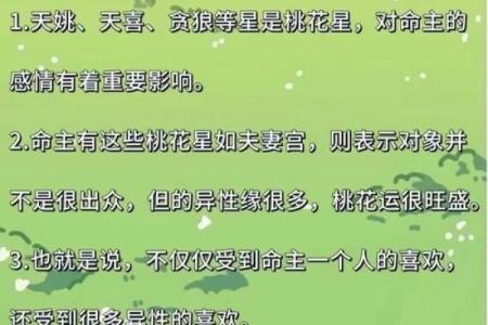 包含紫薇斗数精华论坛的词条