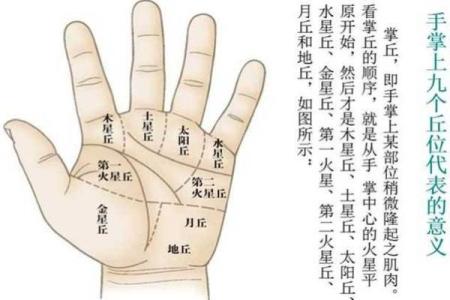 凯帝阿手相算命图解大全07
