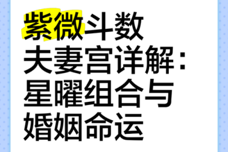 流年紫薇斗数空曜