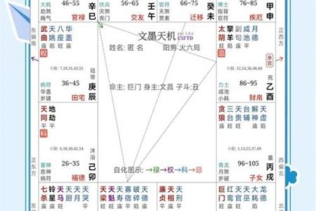 紫薇斗数流年看外出