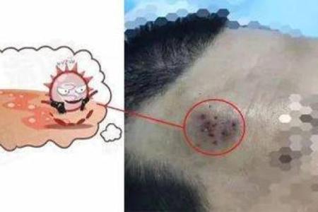 剖腹产看日子 不仅考虑产妇的八字 还要考虑父亲