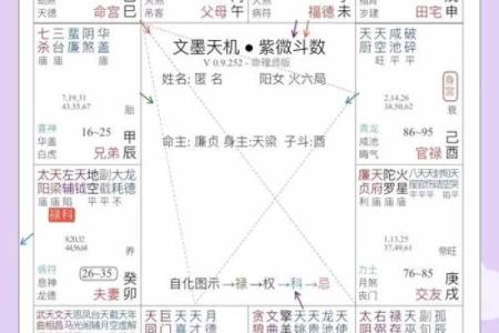 紫微斗数之生年干四化表象：夫妻宫四化入各宫表象