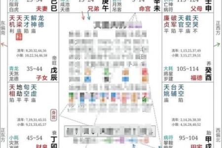 紫薇斗数命宫酉宫
