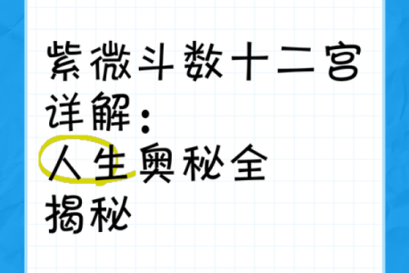 babyvv紫薇斗数吧