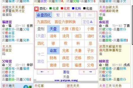 紫微斗数之诸星值限年运气推断：华盖星之年
