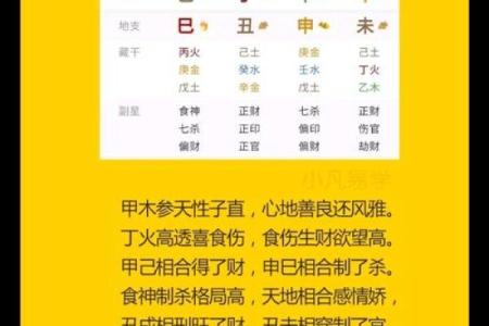 算命说的甲木命是什么