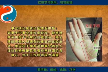 看手相算命：第四课 论事业命运