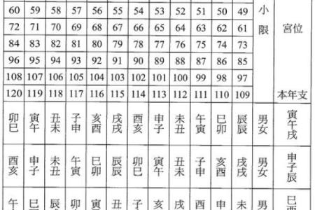 八字十神排盘紫薇斗数