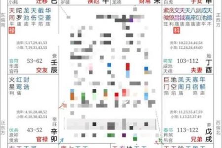 紫薇斗数排盘姓名