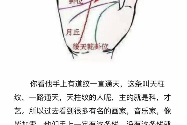 如何看手相算命看手相怎么看 如何看手相算命图片大全图解