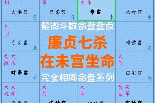 廉贞紫薇斗数